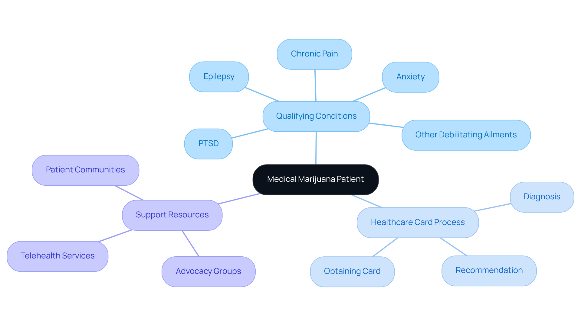 The center represents the main idea of being a medical marijuana patient. Each branch explores key topics related to this classification, helping you see how they connect and what you need to know.
