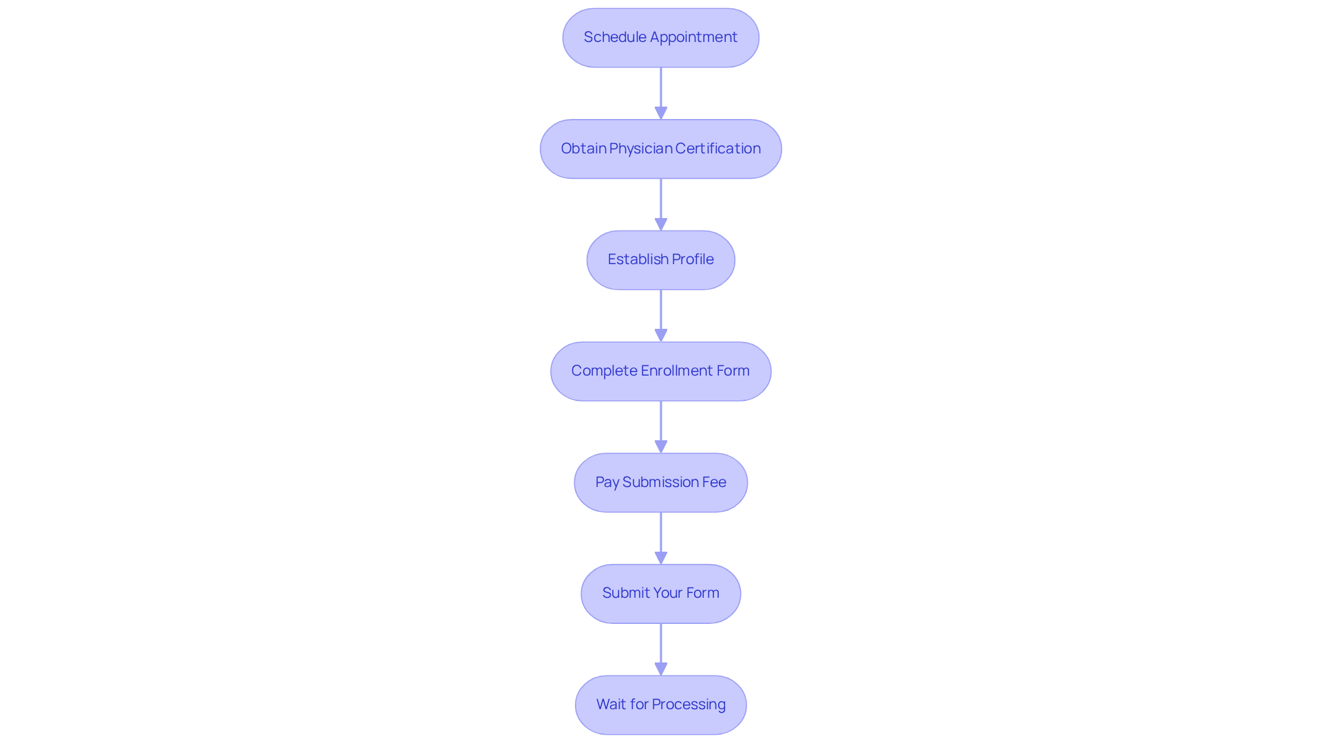 Each box represents a step in the application process. Follow the arrows to see what you need to do next, from scheduling your appointment to waiting for your application to be processed.