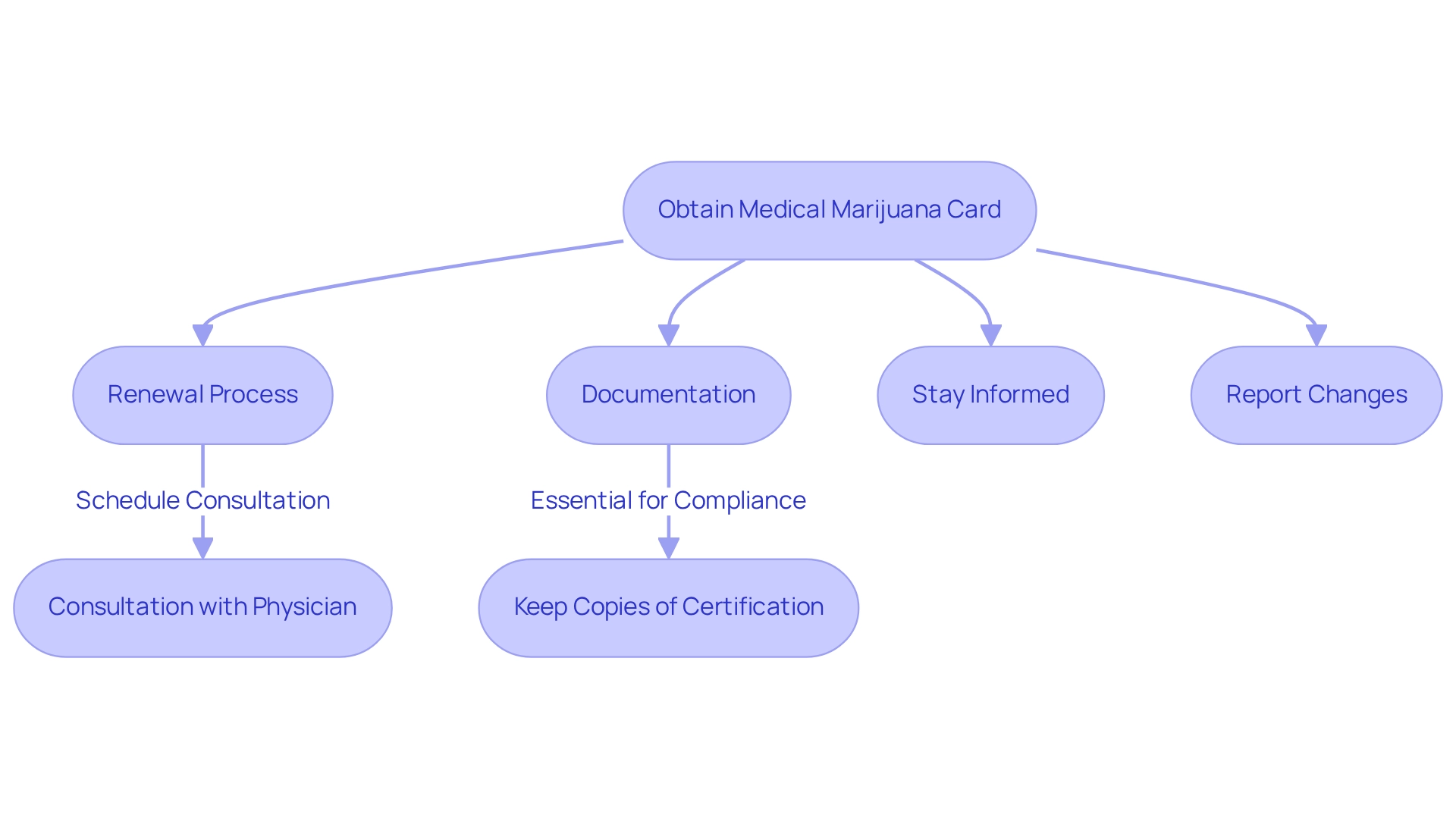 Follow the arrows to see the steps you need to take — from obtaining your card to ensuring it stays valid and compliant. Each box represents an important action to keep in mind.