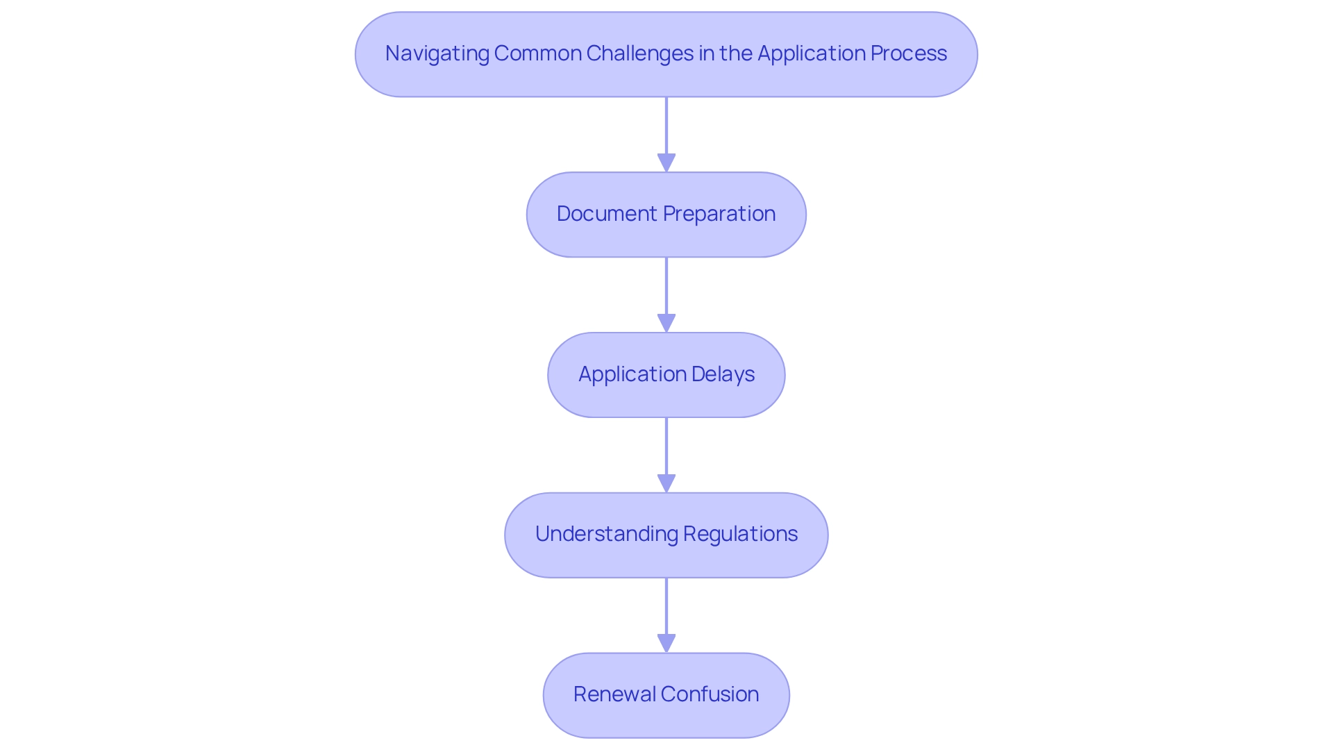 Each box represents a challenge in the application process, with color coding to differentiate them. Each box represents a challenge in the application process, with color coding to differentiate them.