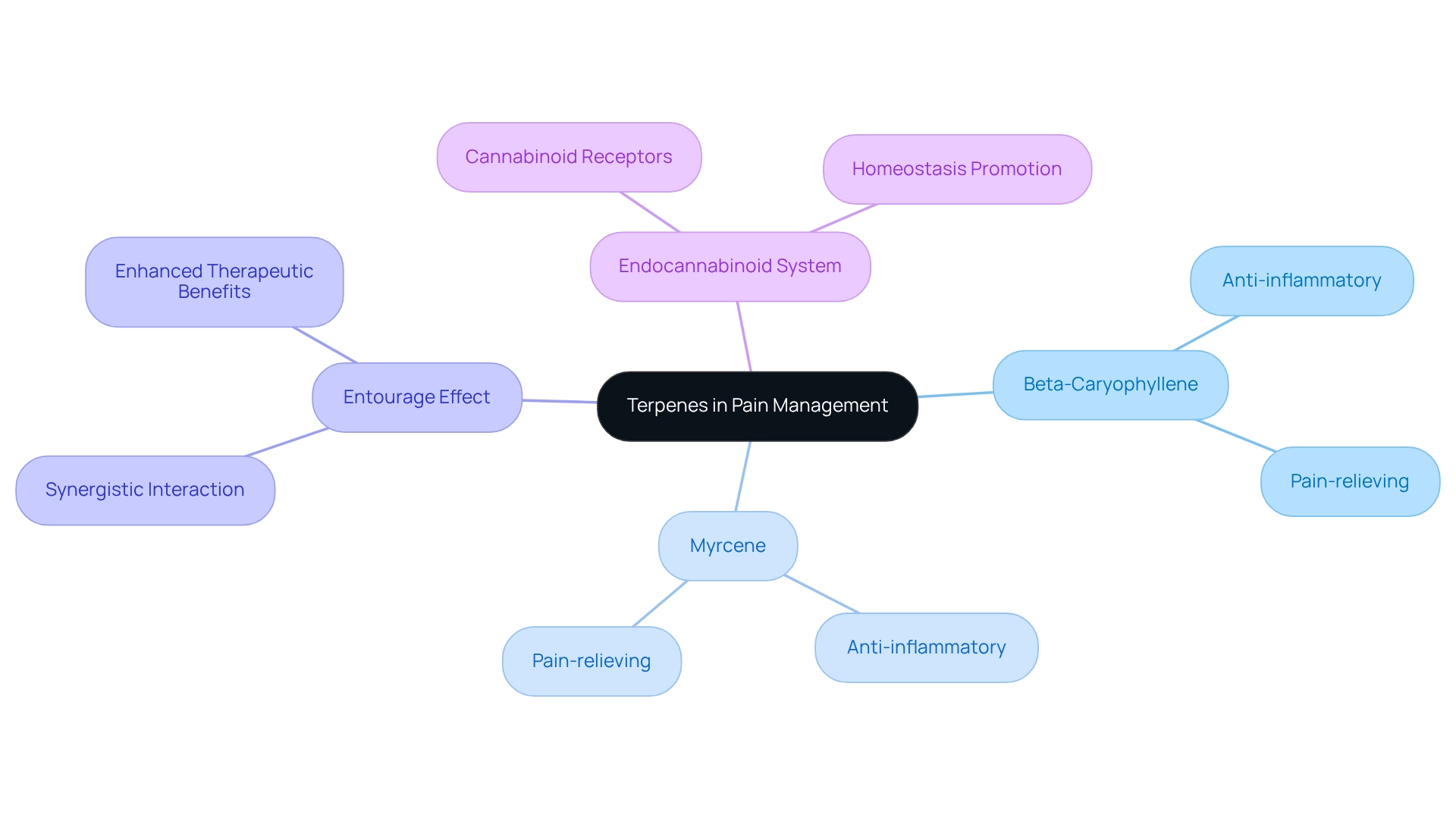 At the center is the main topic of terpenes. Each branch represents a specific terpene, detailing its effects and significance. The further branches show how these compounds interact with the body and contribute to pain relief. At the center is the main topic of terpenes. Each branch represents a specific terpene, detailing its effects and significance. The further branches show how these compounds interact with the body and contribute to pain relief.