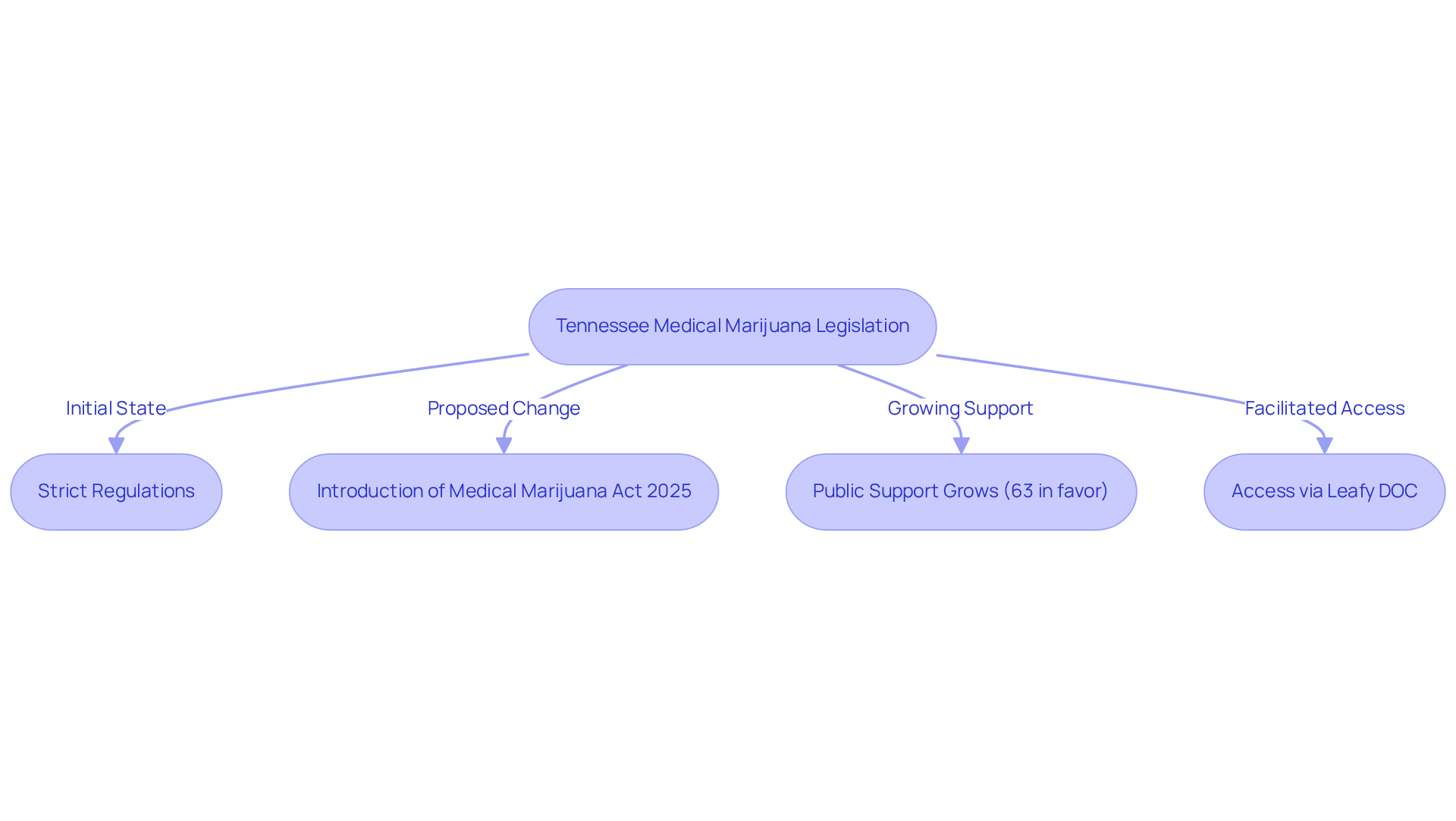 Each box represents a significant event or development in the journey towards more accessible medical marijuana in Tennessee. Follow the arrows to understand how these changes connect and influence access for patients.