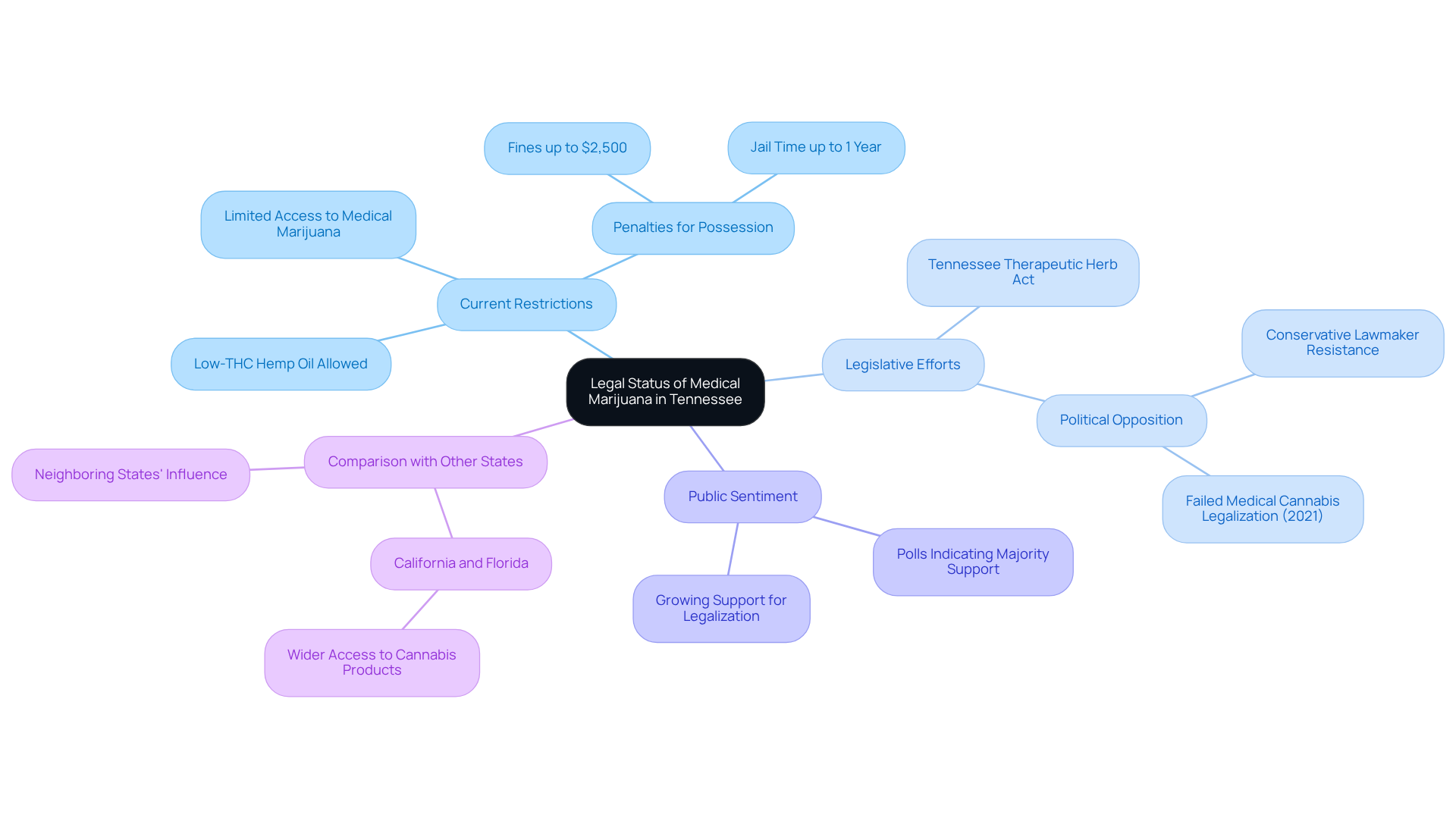 The central node is the main topic, and branches show related areas: restrictions, legislative attempts, public views, and how Tennessee compares to other states. Follow the branches to explore each aspect of the legal landscape.