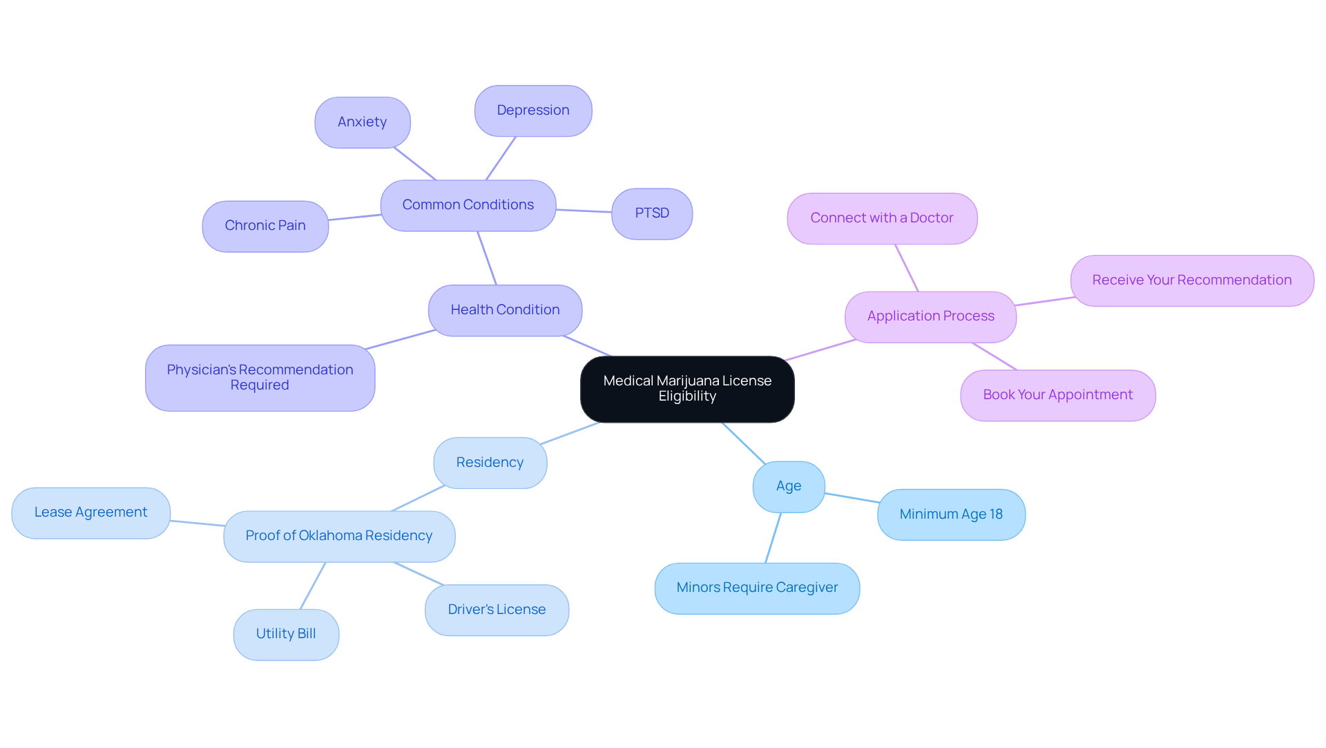 The center node represents the overall goal of obtaining a license, with branches showing the criteria needed and the process steps to achieve it. Each color differentiates the sections for easier understanding.