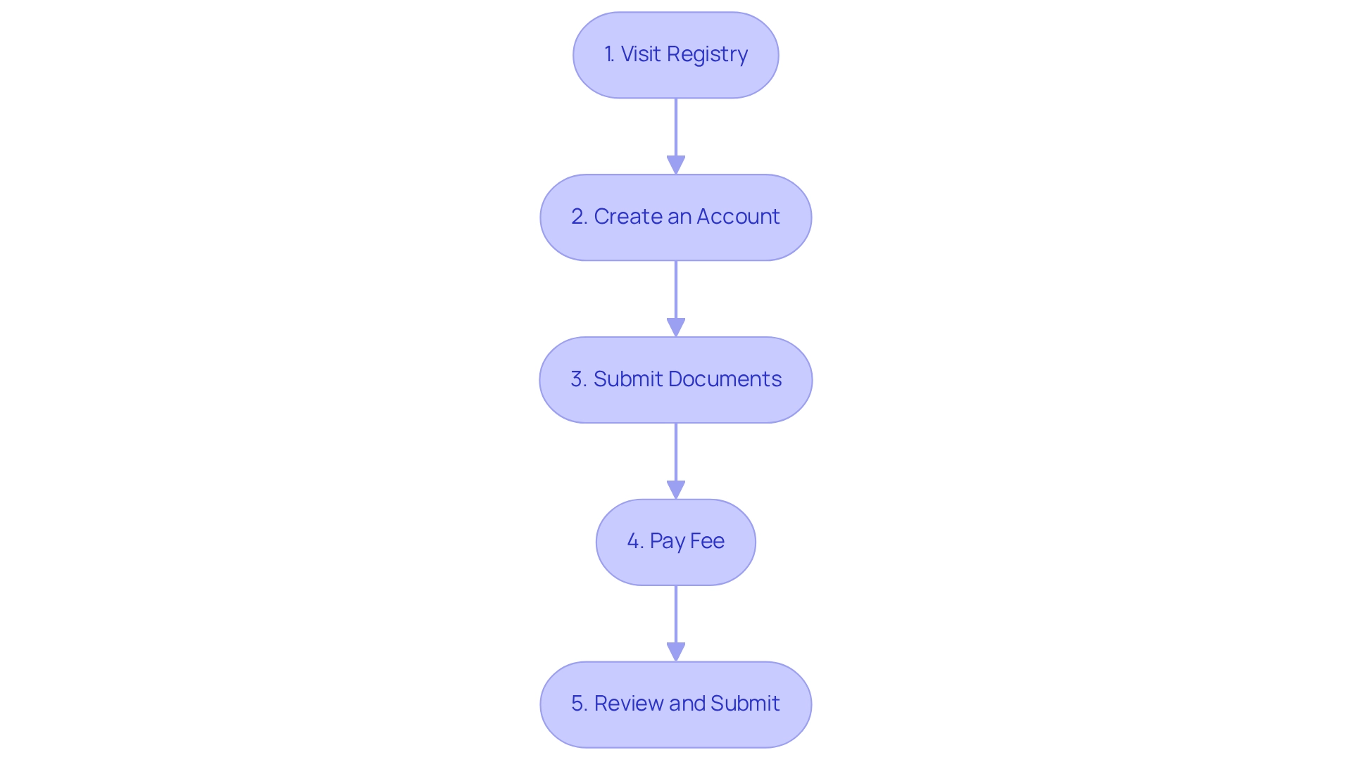 Follow the arrows from top to bottom! Each box shows you what to do next — starting from visiting the registry to finally reviewing and submitting your application.