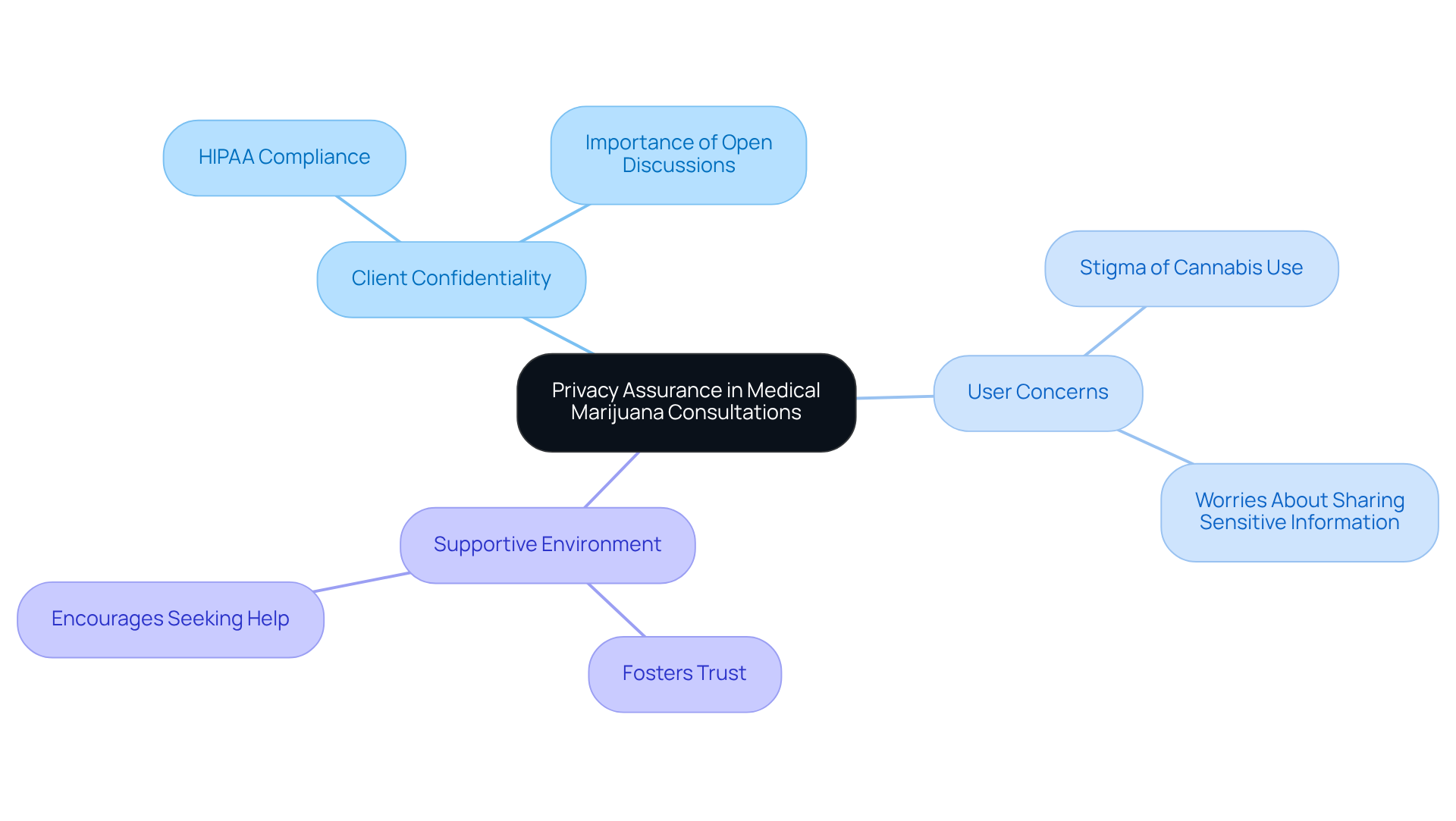 The center shows the main focus on privacy, with branches illustrating related topics. Each color-coded branch highlights key areas that contribute to creating a secure and confidential consultation experience. The center shows the main focus on privacy, with branches illustrating related topics. Each color-coded branch highlights key areas that contribute to creating a secure and confidential consultation experience.