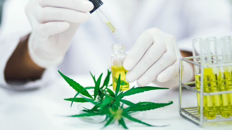 Clinical Perspective Of CBD