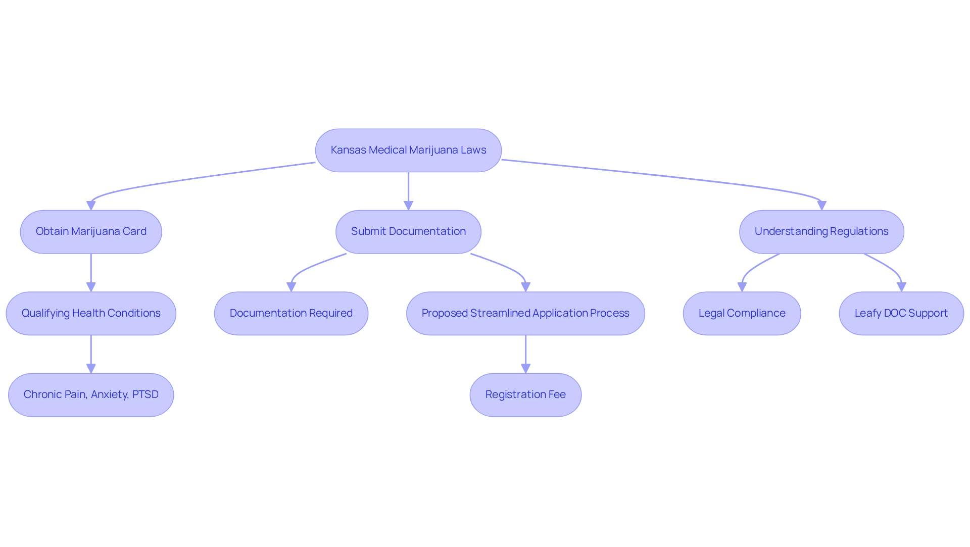 Follow the arrows to understand the steps involved in accessing medical marijuana in Kansas, from obtaining a card to complying with regulations, including how Leafy DOC provides support.