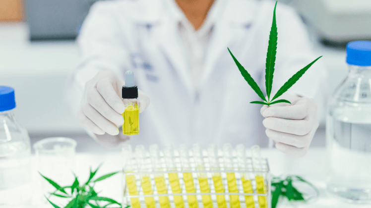 CBD Effects And Benefits